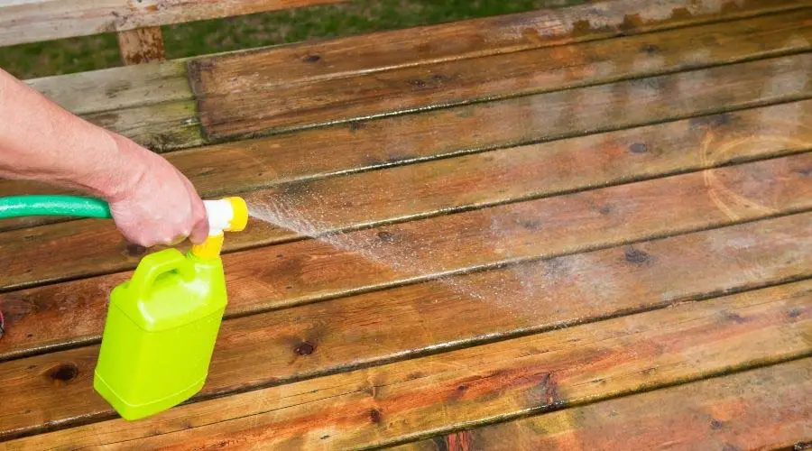 How To Remove Green Algae From Paving Slabs