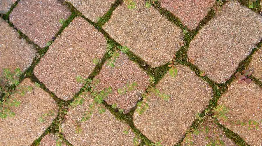 how-to-clean-brick-pavers-paver-house